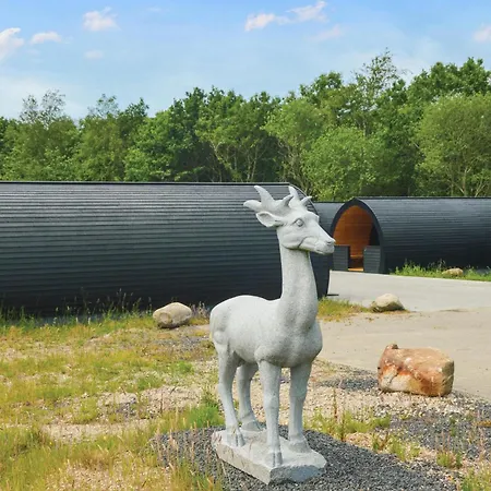 Amazing In Nørre Nebel